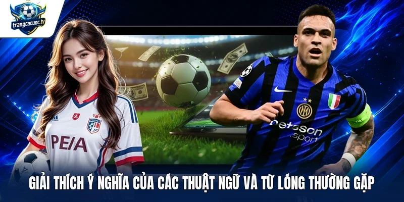 Giải thích ý nghĩa của các thuật ngữ và từ lóng thường gặp